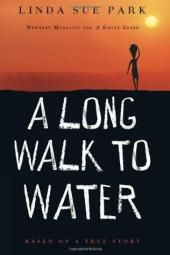 Imagem de pôster de livro Uma longa caminhada até a água