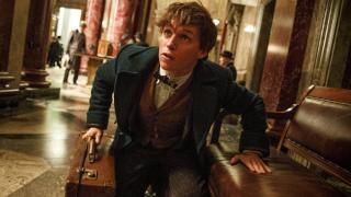 Filmes fantásticos e onde encontrá-los: Newt Scamander