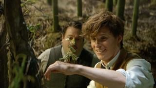 Filme: Animais fantásticos e onde encontrá-los: Newt, Jacob e um animal fantástico
