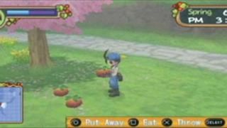 Harvest Moon: Hero of Leaf Valley Spiel: Screenshot #3