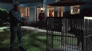 Filme Max: Cena 2