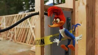 Film Woody Woodpecker: U izradi