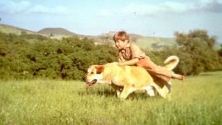Vana Yelleri film: Stseen 3