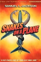 Imagem de pôster de filme de Cobras em um Avião
