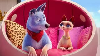 Pets United Película: Escena 1