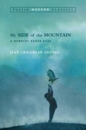 Imagem do pôster do livro Meu lado da montanha