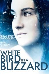 Бела птица на слици плаката филма Мећава