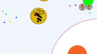 Agar.io App: Skærmbillede # 3