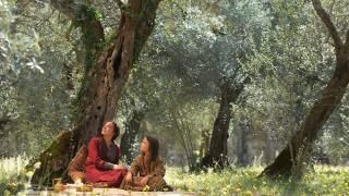 Η ταινία