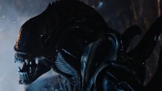 فيلم الأجانب: المشهد رقم 2