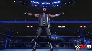 WWE 2K19 skærmbillede nr. 1
