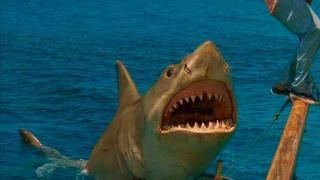 Jaws: The Revenge Movie: Scene # 2