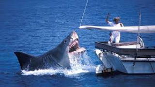 Jaws: The Revenge Movie: Scene # 3