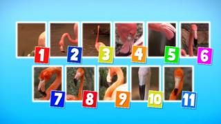 Animal 123