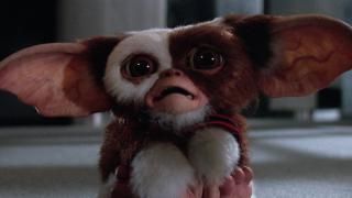 Filme Gremlins: Cena # 1