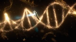 Cosmos: um programa de TV de odisséia no espaço do tempo: cena 3