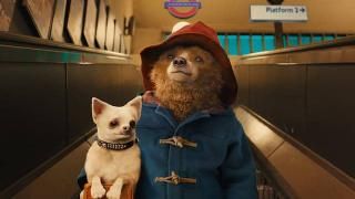 „Paddington“ filmas: Paddingtonas atvyksta į Londoną