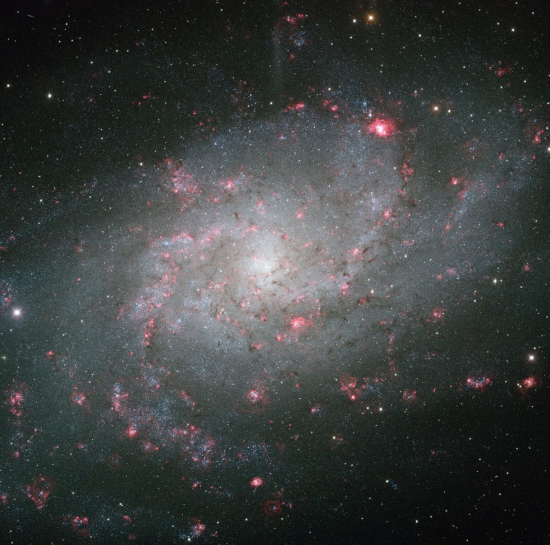 Čudovita bližnja spiralna galaksija M 33. Zasluge: KPNO, NOAO, AURA, dr. Philip Massey (Lowell Obs.) - Obdelava slike: Davide De Martin.