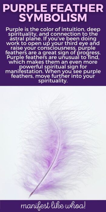 Čo to znamená, keď stále vidíte fialové perie? Farebná mágia pre prejavy a anjelské posolstvá