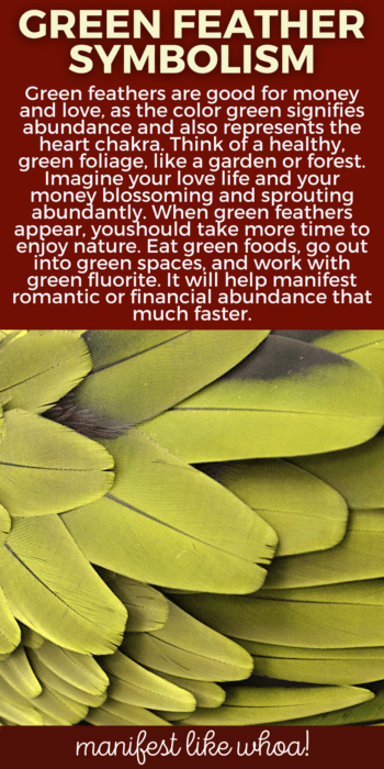 O que significa quando você continua vendo penas verdes? Magia colorida para mensagens de manifestação e anjos