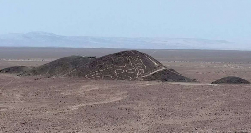 Тук коте, коте! Учените забелязват нов геоглиф Nazca Lines на 120-футова котка в Перу