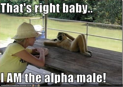alfa erkek