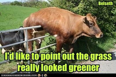 trava je zelenija