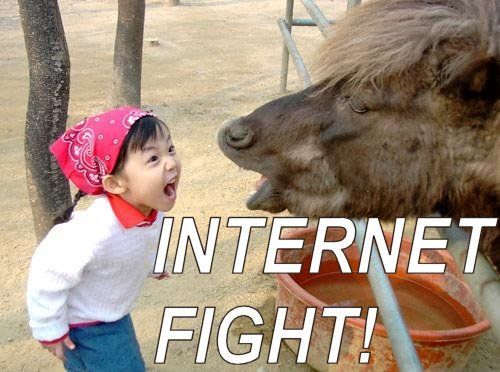 قتال الإنترنت