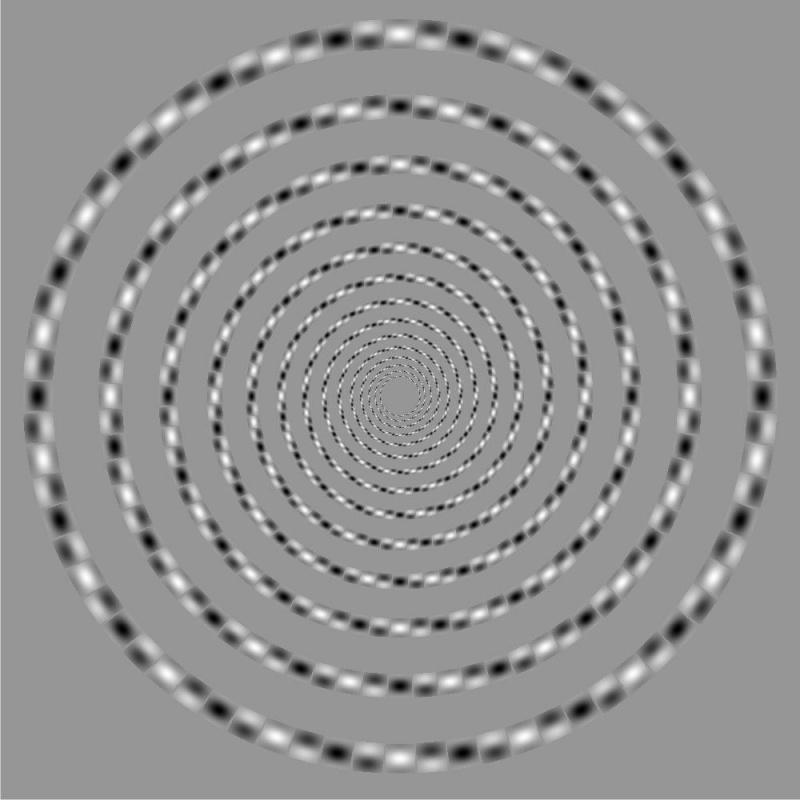 Questa non è una spirale, non importa quanto il tuo cervello ti urli che lo sia.
