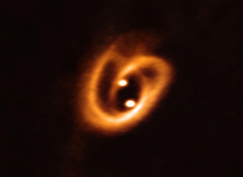 As duas estrelas do sistema binário [BHB2007] 11 estão em processo de formação, extraindo material do disco que as circunda por meio de um par de filamentos, enrolados devido ao movimento das estrelas em torno uma da outra. Crédito: ALMA (ESO / NAOJ / NRAO), Alves et al.