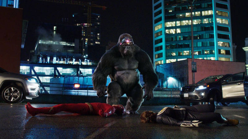 „Flash Grodd“