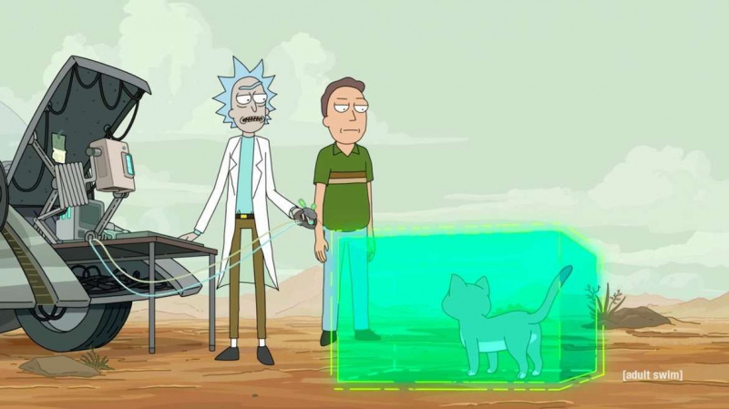Rick et Morty Saison 4 Chat Broderick