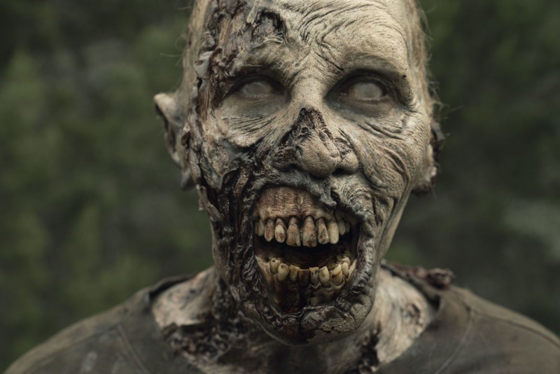 Fear the Walking Dead 501 - zumbi