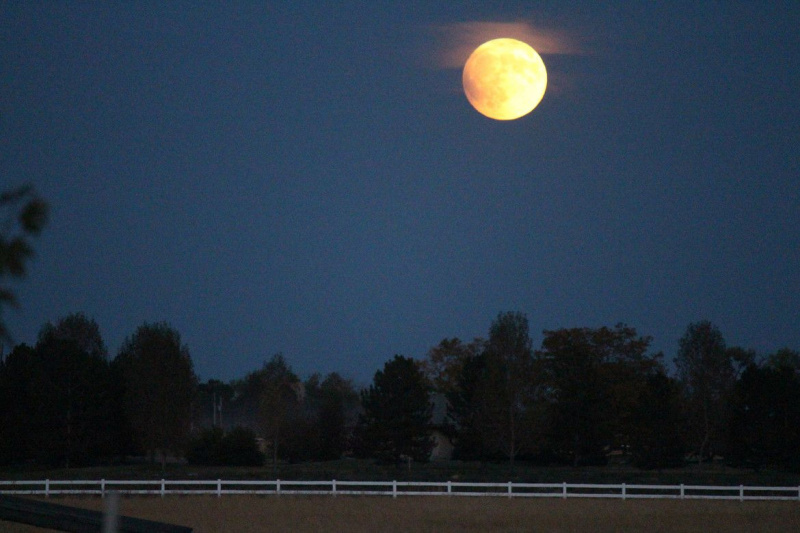 Et bredt billede af måneformørkelsen den 27. september 2015, da månen stod op, var allerede delvis formørket. Kredit: Phil Plait