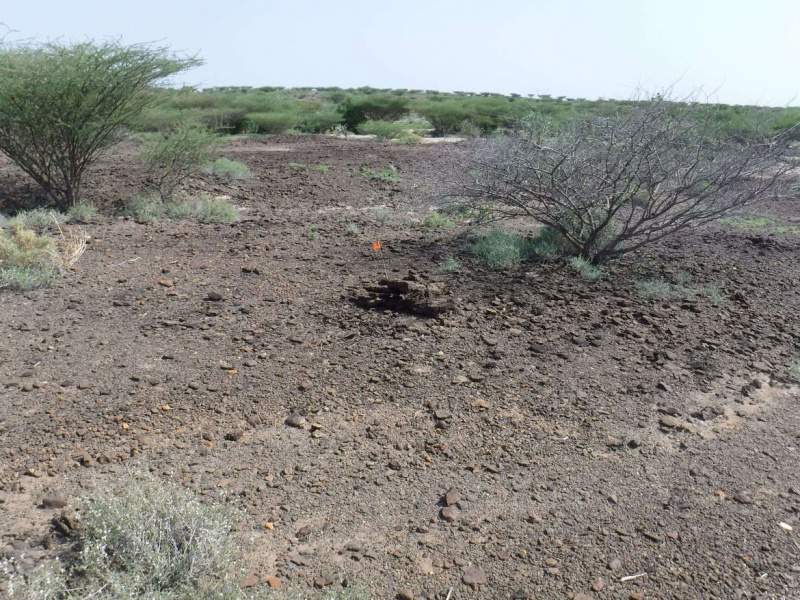 Øst -Turkana arkeologiske område