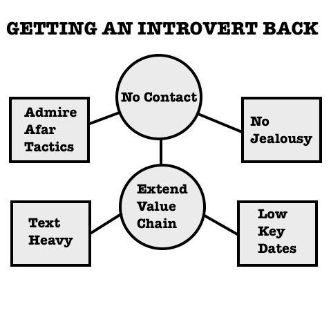 интроверт