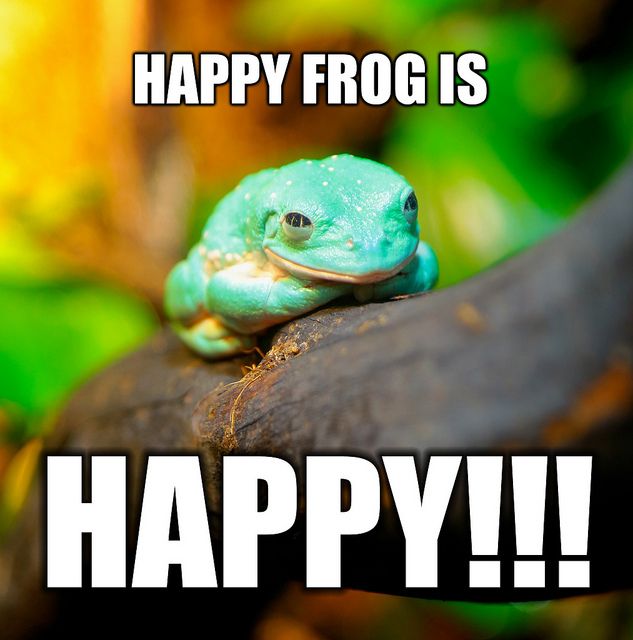 щастлива жаба