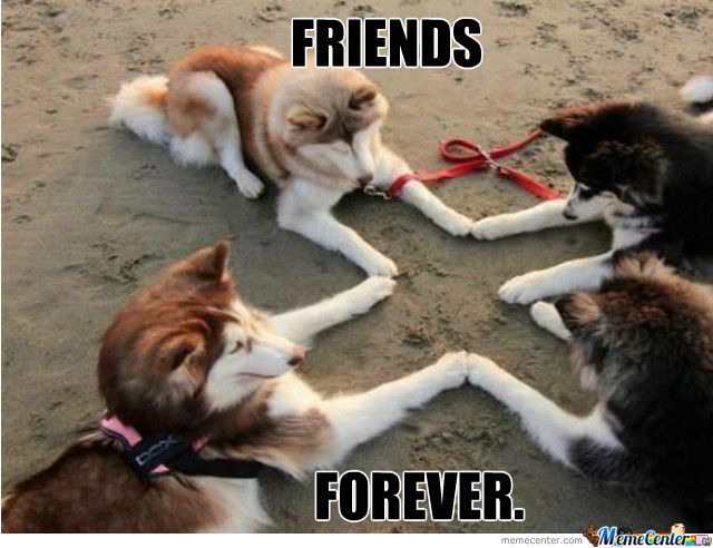 sõbrad igavesti
