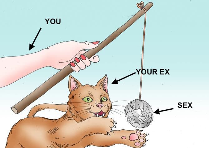 bold på et strengespil med kat