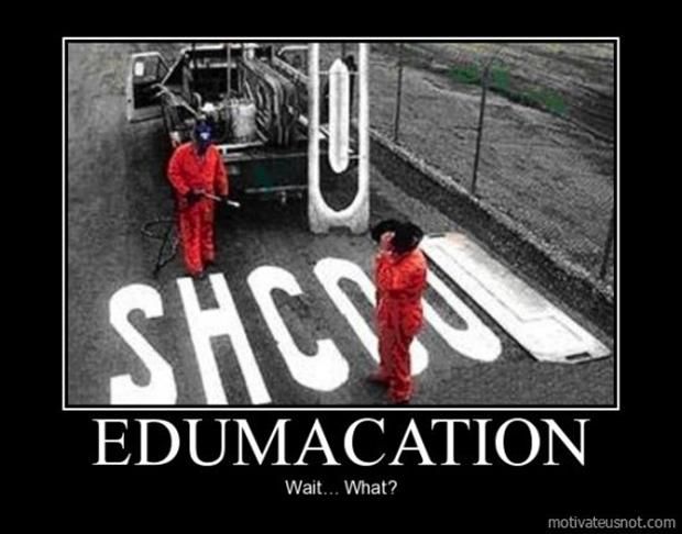 образование