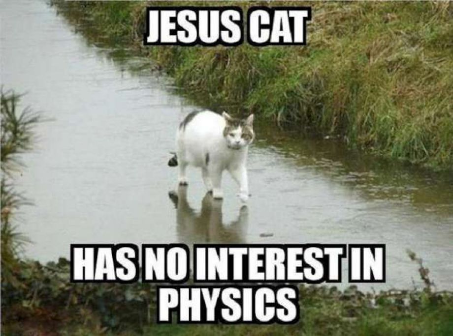 γάτα του Ιησού