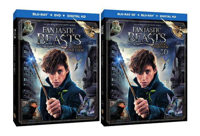 Fantastic Beasts Blu-ray komplekts lepojas ar čemodānu, kas ir pilns ar papildu materiāliem