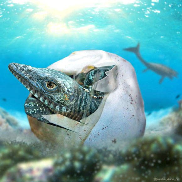 mazulis mosasaurs