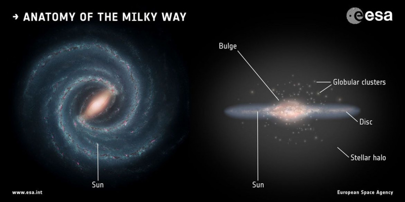 De structuur van de Melkweg: een afgeplatte schijf met spiraalarmen (met de voorkant naar voren, links en naar de zijkant, rechts), met een centrale uitstulping, een halo en meer dan 150 bolvormige sterrenhopen. De locatie van de zon ongeveer halverwege wordt aangegeven.