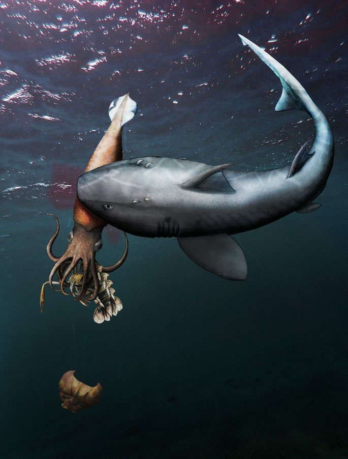 Јурска ајкула, лигња и рак