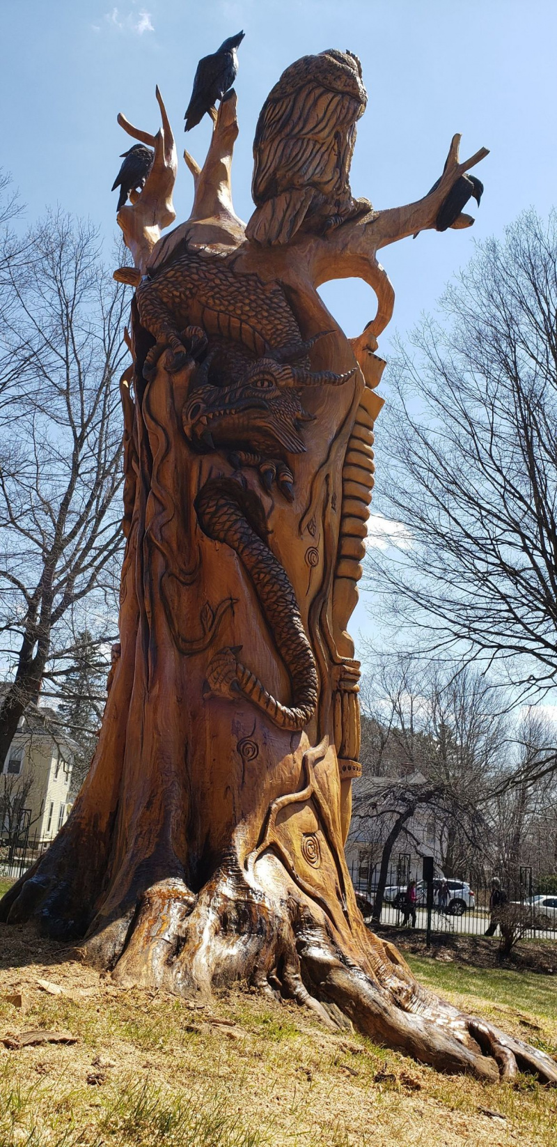 Un albero morto è tornato in vita sul prato di Stephen King... come una surreale scultura in legno