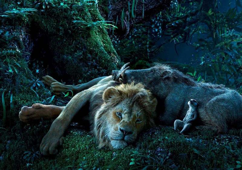 За съжаление, Симба би изял приятелите си Пумба и Тимон, обяснява експерт по лъвовете