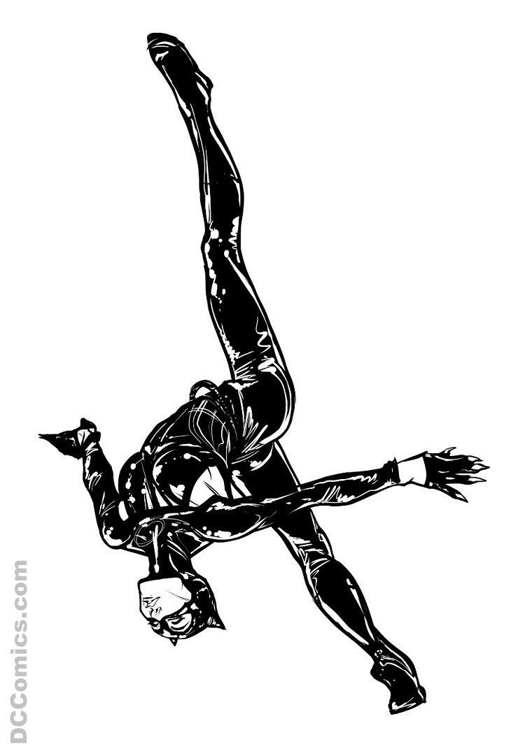 DC- Nuevo disfraz de Catwoman 2