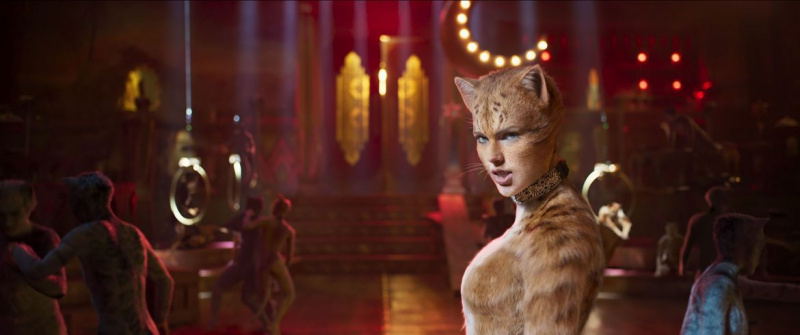 Taylor Swift bei Katzen
