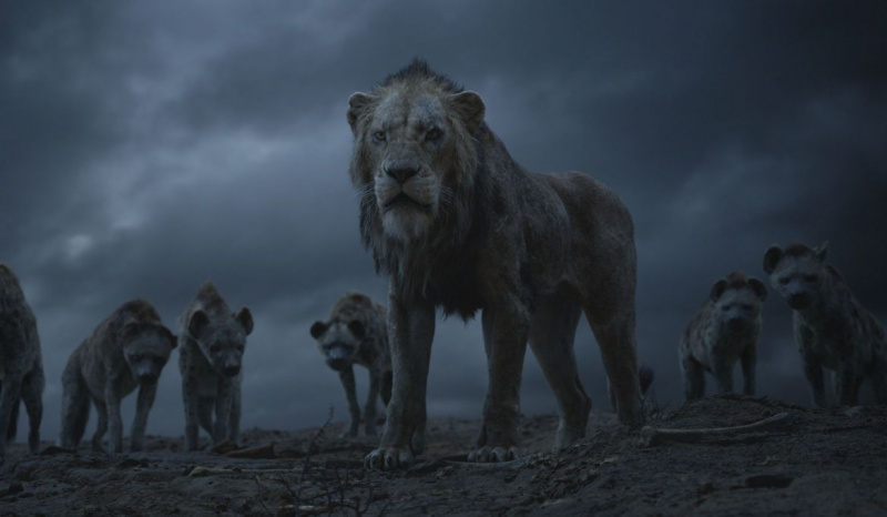 Narbe Der König der Löwen 2019